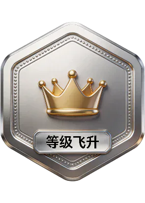 等级飞升